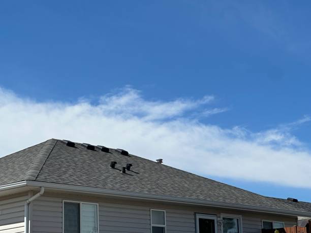 Best Chimney Flashing Repair  in Kana, UT
